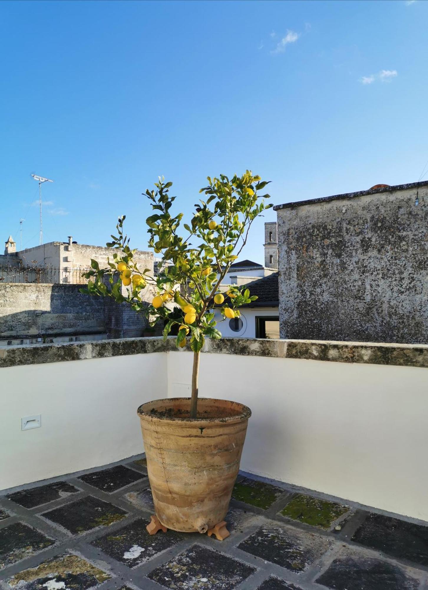 Coniger 4 Casa Vacanze In Centro Lecce Con Wi-Fi E Smart Tv Exteriér fotografie